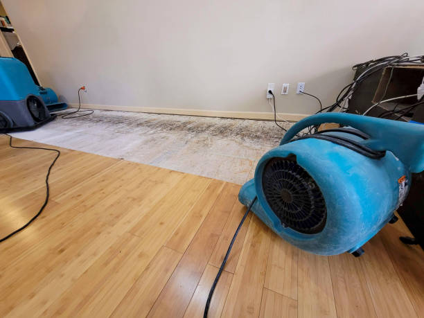 Professional Emergency Water Damage technician working in Bonesteel, SD